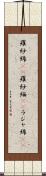 羅紗綿(rK) Scroll