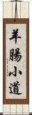 羊腸小道 Scroll