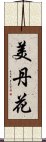 美丹花 Scroll