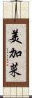 美加菜 Scroll