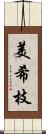 美希枝 Scroll