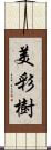 美彩樹 Scroll