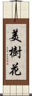 美樹花 Scroll