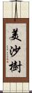 美沙樹 Scroll