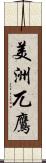 美洲兀鷹 Scroll