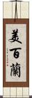 美百蘭 Scroll