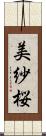 美紗桜 Scroll