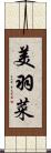 美羽菜 Scroll