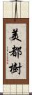 美都樹 Scroll