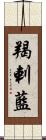 羯剌藍 Scroll