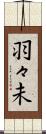 羽々未 Scroll