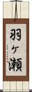 羽ヶ瀬 Scroll