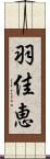 羽佳恵 Scroll