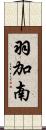 羽加南 Scroll