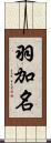 羽加名 Scroll