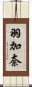 羽加奈 Scroll
