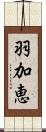 羽加恵 Scroll