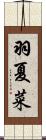羽夏菜 Scroll