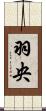羽央 Scroll