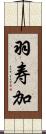 羽寿加 Scroll