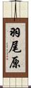 羽尾原 Scroll