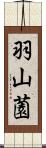 羽山薗 Scroll