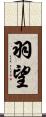 羽望 Scroll