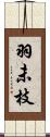 羽未枝 Scroll