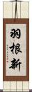 羽根新 Scroll