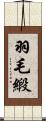 羽毛緞 Scroll