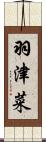 羽津菜 Scroll