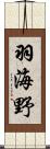 羽海野 Scroll