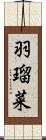 羽瑠菜 Scroll