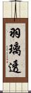 羽璃透 Scroll