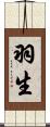 羽生 Scroll