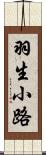 羽生小路 Scroll