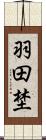 羽田埜 Scroll