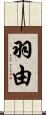 羽由 Scroll