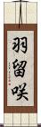 羽留咲 Scroll