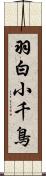 羽白小千鳥 Scroll