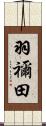 羽禰田 Scroll