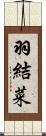 羽結菜 Scroll