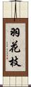 羽花枝 Scroll