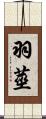 羽莖 Scroll