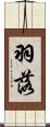 羽落 Scroll
