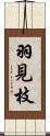 羽見枝 Scroll