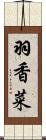 羽香菜 Scroll