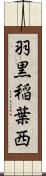 羽黒稲葉西 Scroll