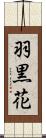羽黒花 Scroll