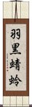 羽黒蜻蛉 Scroll